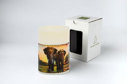 elefantes34576
